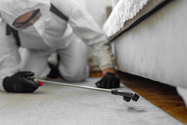 Professional Bed Bug Control technician working in Colbert County County, AL